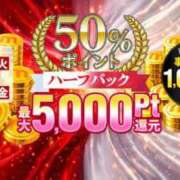 ヒメ日記 2026/04/13 11:39 投稿 しおり 水戸人妻花壇
