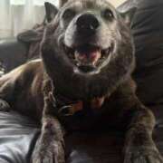 ヒメ日記 2025/11/12 12:35 投稿 るる 横浜おかあさん