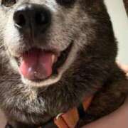 ヒメ日記 2025/11/21 00:55 投稿 るる 横浜おかあさん