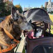 ヒメ日記 2025/11/26 21:35 投稿 るる 横浜おかあさん