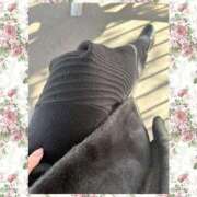 るる 本日、御予約下さったお客様有難う御座います 横浜おかあさん