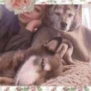 るる 寒くなりましたね。皆さん風邪ひかないでね 横浜おかあさん