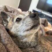 ヒメ日記 2026/01/02 21:05 投稿 るる 横浜おかあさん