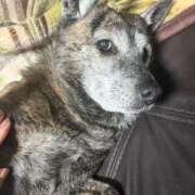 ヒメ日記 2026/01/06 22:25 投稿 るる 横浜おかあさん