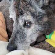 ヒメ日記 2026/02/04 10:35 投稿 るる 横浜おかあさん