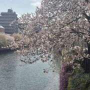 ヒメ日記 2026/04/09 15:35 投稿 るる 横浜おかあさん