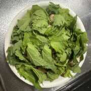 ヒメ日記 2026/01/05 23:13 投稿 ちづる VIVIDCREW 梅田堂山店