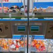 つばき 無事に・・・ 逢って30秒で即尺