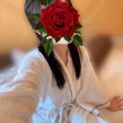 ヒメ日記 2025/12/28 11:06 投稿 なこ ぐっすり山田 横浜店