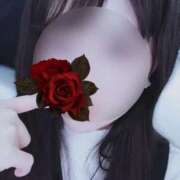 ヒメ日記 2025/12/29 09:05 投稿 なこ ぐっすり山田 横浜店