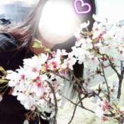 ヒメ日記 2026/04/08 12:14 投稿 高槻（たかつき） 人妻最後の砦 水戸店