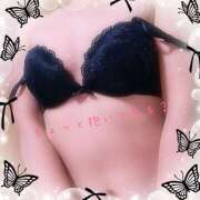 ヒメ日記 2026/04/15 10:28 投稿 高槻（たかつき） 人妻最後の砦 水戸店