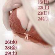 ヒメ日記 2025/11/15 16:50 投稿 いおり 金の玉クラブ池袋～密着睾丸マッサージ～