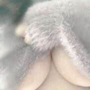 ヒメ日記 2025/12/15 23:47 投稿 いおり 金の玉クラブ池袋～密着睾丸マッサージ～