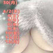 ヒメ日記 2026/03/28 17:47 投稿 いおり 金の玉クラブ池袋～密着睾丸マッサージ～