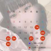 ヒメ日記 2025/11/13 19:10 投稿 めあ 激安ドットコム