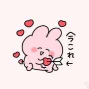 ヒメ日記 2025/12/23 15:02 投稿 めあ 激安ドットコム