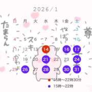 ヒメ日記 2026/01/09 12:02 投稿 めあ 激安ドットコム