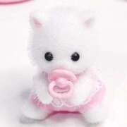 ヒメ日記 2026/02/10 12:49 投稿 めあ 激安ドットコム