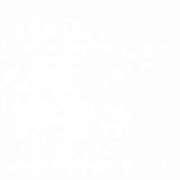 ヒメ日記 2025/11/01 08:48 投稿 アン秘書 秘書の品格 クラブアッシュ ヴァリエ