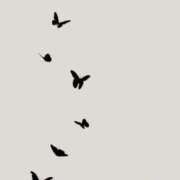 ヒメ日記 2026/03/11 14:29 投稿 ひとみ 完熟ばなな札幌・すすきの