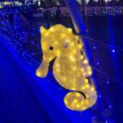 ヒメ日記 2025/11/22 16:47 投稿 みり ハニープラザ（ユメオト）