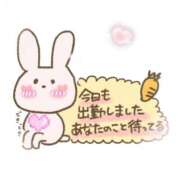 ヒメ日記 2025/11/06 12:00 投稿 ひまり マダム錦糸町