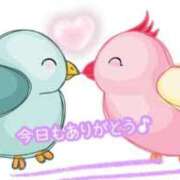 ヒメ日記 2025/11/06 18:40 投稿 ひまり マダム錦糸町