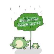 ヒメ日記 2025/11/09 09:50 投稿 ひまり マダム錦糸町