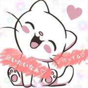 ヒメ日記 2025/11/09 14:00 投稿 ひまり マダム錦糸町