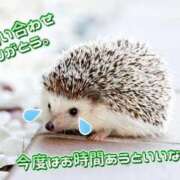 ヒメ日記 2025/11/13 13:50 投稿 ひまり マダム錦糸町