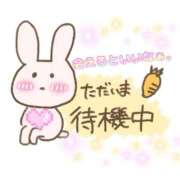 ヒメ日記 2025/11/14 12:00 投稿 ひまり マダム錦糸町