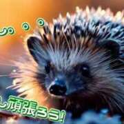 ヒメ日記 2025/11/14 16:30 投稿 ひまり マダム錦糸町