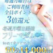 ヒメ日記 2025/11/16 21:20 投稿 ひまり マダム錦糸町