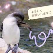 ヒメ日記 2025/12/05 12:00 投稿 ひまり マダム錦糸町