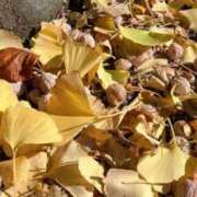 ヒメ日記 2025/11/18 10:23 投稿 ゆめの 奥様はエンジェル　八王子店