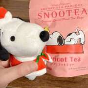 ヒメ日記 2025/12/26 08:30 投稿 ゆめの 奥様はエンジェル　八王子店