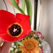 ヒメ日記 2026/01/01 08:30 投稿 ゆめの 奥様はエンジェル　八王子店