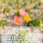 まい 今後の出勤予定です🍀 あおば睾丸診療所