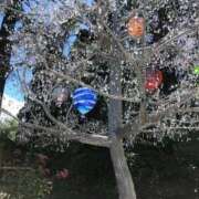 ヒメ日記 2025/11/03 19:38 投稿 小野はなえ 恋する妻たち