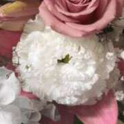 ヒメ日記 2025/11/07 15:58 投稿 小野はなえ 恋する妻たち