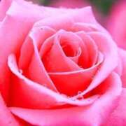 ヒメ日記 2025/11/13 17:58 投稿 小野はなえ 恋する妻たち