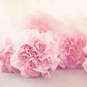 ヒメ日記 2025/11/15 18:18 投稿 小野はなえ 恋する妻たち