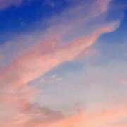 ヒメ日記 2025/11/17 23:38 投稿 小野はなえ 恋する妻たち