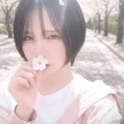 ヒメ日記 2026/04/11 10:12 投稿 葛城ののか ニューハーフヘルスLIBE横浜店