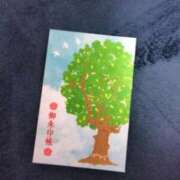 ヒメ日記 2025/11/22 06:58 投稿 小川 西川口デッドボール