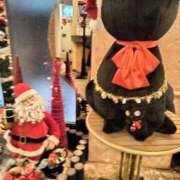 ヒメ日記 2025/11/28 20:00 投稿 小川 西川口デッドボール