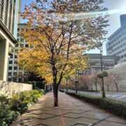 ヒメ日記 2025/12/01 19:18 投稿 小川 西川口デッドボール