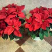 ヒメ日記 2025/12/08 23:20 投稿 小川 西川口デッドボール