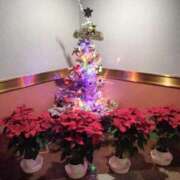 ヒメ日記 2025/12/18 17:08 投稿 小川 西川口デッドボール